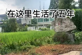 大学毕业11年，从一个人到两个人，从两个人到三个人。视频封面