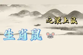 生肖鼠:1960年和2020年的庚子年出生的生肖鼠视频封面