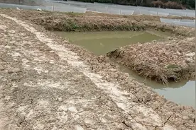 广东老板。牛蛙养殖基地投资几十万，上百万吧。视频封面