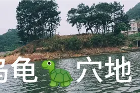 乌龟🐢穴位视频封面
