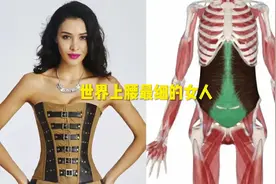 世界上腰最细的女人视频封面