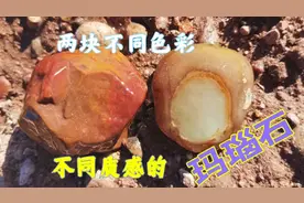 张家口山上找到个捡石头好地方，换个季节这里会有很多好石头视频封面
