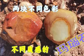 张家口山上找到个捡石头好地方，换个季节这里会有很多好石头视频封面