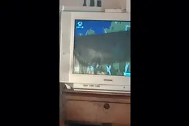 打T博士视频封面