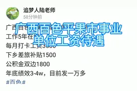 广西百色平果市事业单位工资待遇
工作5年在编视频封面
