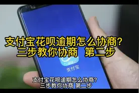 支付宝花呗逾期怎么协商？三步教你协商  第二步