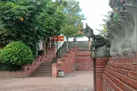 组团偷渡缅甸，在版纳机场被拦截下来视频封面