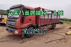 六米八蓝牌，c1本就能开这种车不是你有钱就能买到的。视频封面