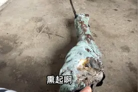一个长满霉菌的腊猪脚，还被老鼠啃了一点，这猪脚还能吃吗视频封面