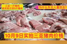 大量北方人到三亚过冬，对比哈尔滨和三亚的猪肉价格，千万别吃惊视频封面
