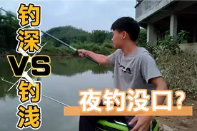夜钓为什么会没口，该钓深水还是钓浅水？看完视频你就知道了视频封面