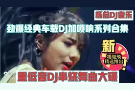 杨总]劲爆经典车载DJ串烧合集系列加唢呐,首首好听，百听不厌!