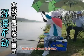 野钓鲫鱼，浮漂不动提竿却中鱼了，你知道问题出在哪里吗？视频封面