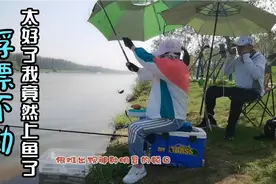 野钓鲫鱼，浮漂不动提竿却中鱼了，你知道问题出在哪里吗？视频封面