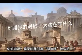 大脑趁你睡着的时候在做什么？视频封面