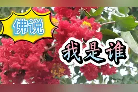 佛说无我，古代圣贤也说无我，那我究竟是谁，让我们来一起了解视频封面