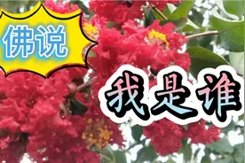佛说无我，古代圣贤也说无我，那我究竟是谁，让我们来一起了解视频封面