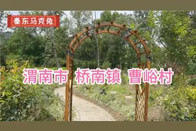 渭南市桥南镇有个美丽乡村，它的名字叫曹峪村，村里有八仙泉山庄视频封面
