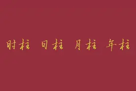 什么是时柱、日柱、月柱、年柱#周易#传统文化#知识科普