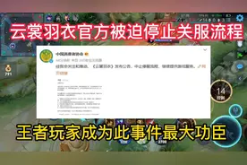 云裳羽衣官方被迫停止关服流程，王者玩家成为此事件最大功臣！视频封面