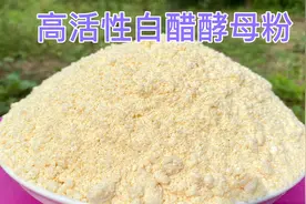 高活性白醋酵母粉做法，冬天发面相当快，酵母粉做法详细教程视频封面