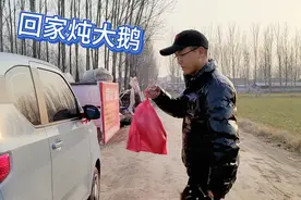 农村散养大鹅100元一只，小谢先买只尝尝鲜，铁锅炖大鹅有年味了视频封面