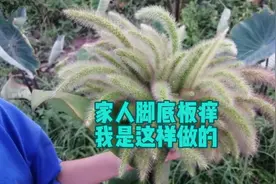 侄儿说脚底板痒，我给他想了个好办法视频封面