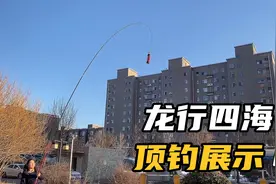自主品牌高碳竿5.7米175g湖库大综合竿，笔直度腰力钓重测试。
