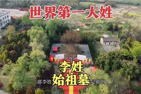 安徽竟隐藏了一座唐朝皇帝墓？墓主人是世界第一大姓！李姓始祖墓视频封面