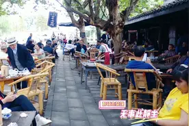 老茶馆，慢生活。视频封面