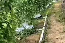 中国农民发明空气种菜法，
种植不用土和水，
产量直接翻几倍！