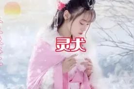 灵犬视频封面