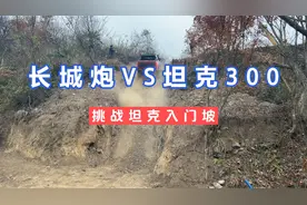 长城炮VS坦克300，挑战坦克入门坡，长城炮完胜坦克300