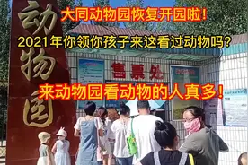 大同动物园恢复开园啦！来这看动物的人真多！今年你领孩子看过吗视频封面