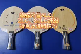 蝴蝶外置alc、zlc和szlc底板该如何选择视频封面
