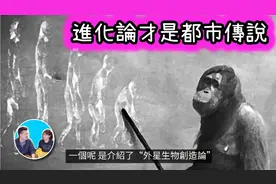 人类的起源第三篇进化论～老高与小茉，进化论中的不合理。视频封面