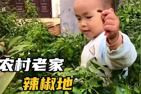 科普一下辣的级别，微辣，中辣，变态辣，最好吃的自己种的辣椒