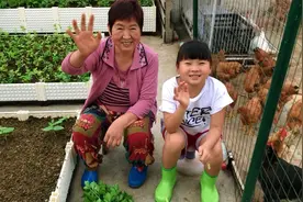 老井的楼顶田园记：用对方法摘青菜种一颗摘半年，产量翻几倍！