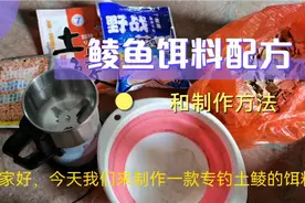 钓鲮鱼的饵料配方，在家里面就可以做出一款，狂拉鲮鱼的饵料。视频封面