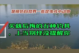 买了就后悔的五种钓具 ，上当别怪我没提醒你 ！视频封面