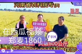 河南省农科院专供：小麦种、玉米种视频封面