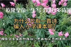 乾隆皇帝写了四万多首诗词可是只有一首编入小学课本 太惊奇了！视频封面
