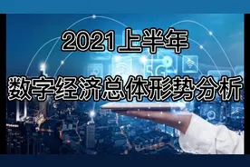 2021上半年数字经济总体形势分析视频封面