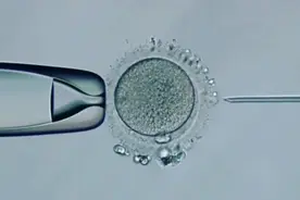 第二代试管婴儿显微受精全过程，其主要解决男方问题引起的不孕视频封面