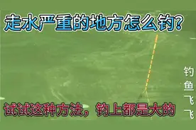 水流太急定不住漂怎么办？试试这种钓法吧，上钩的都是大货！视频封面