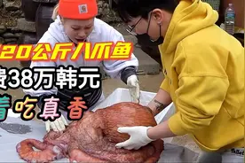 张同学花38万韩元，买来一只20公斤重的巨型八爪鱼，烤着吃真香视频封面