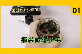 咸菜长毛还能吃吗？里面有什么菌？有益生菌吗？今天观察给大家看