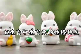 十二生肖属兔人的性格特点，如果你是属兔人来看看你的优秀特点吧视频封面