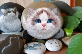 鹅卵石纯手绘丙烯画猫咪。这种逆光剪影的效果是怎么画出来呢？视频封面