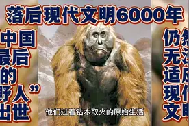 钻木取火刀耕火种−中国最后的野人解放后带入现代文明能适应吗？视频封面